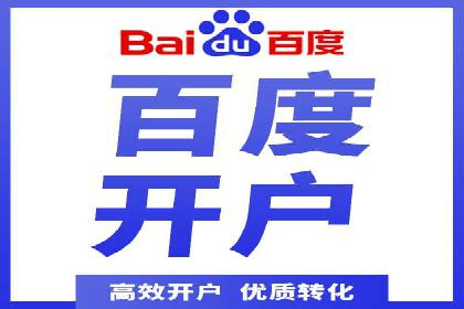 行业领先企业的SEM运营策略案例解析